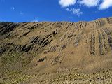 img_3221