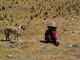 img_3229