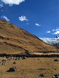 img_3260