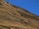 img_3261