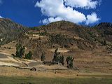img_3269