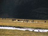 img_3273