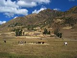 img_3275
