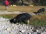 img_3286
