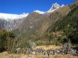 img_3351