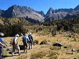 img_3355