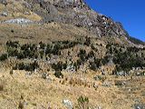 img_3358