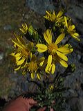 img_3361