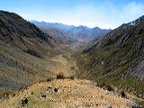 img_3392