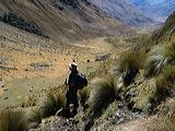 img_3393