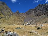 img_3394