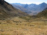 img_3395
