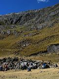 img_3396
