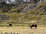img_3397