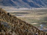 img_3401