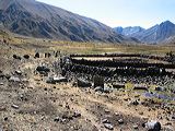 img_3406