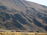 img_3408