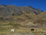 img_3411