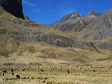 img_3412