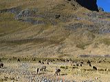 img_3413