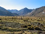 img_3416