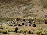 img_3417