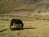 img_3418