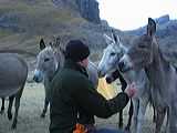 img_3436