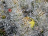 img_3449