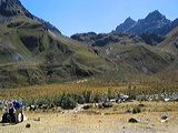 img_3519