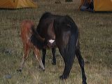 img_3552