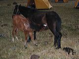 img_3553