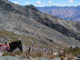 img_3563