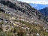 img_3564