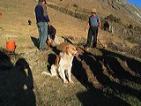 img_3650