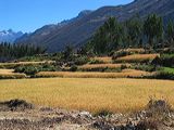 img_3667