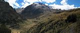 pan3141_3142p