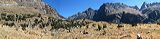 pan3357_3358p