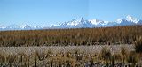 pan3680_3681p