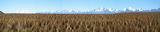 pan3686_3690p