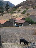 img_0010