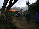 img_0015