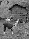 img_0017
