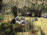 img_0025