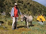 img_0033