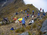 img_0050