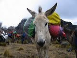 img_0051