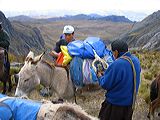 img_0052