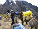 img_0053