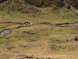 img_0069